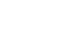 Logo white